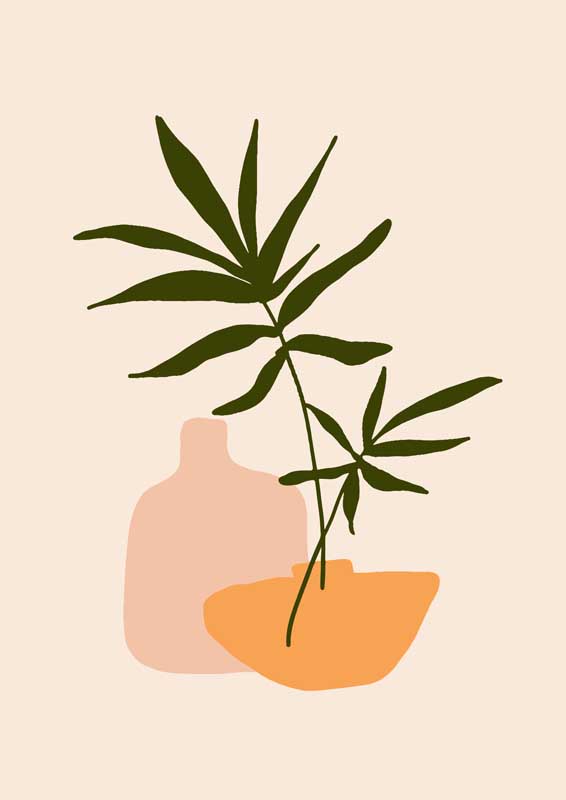 伪娘训练改造